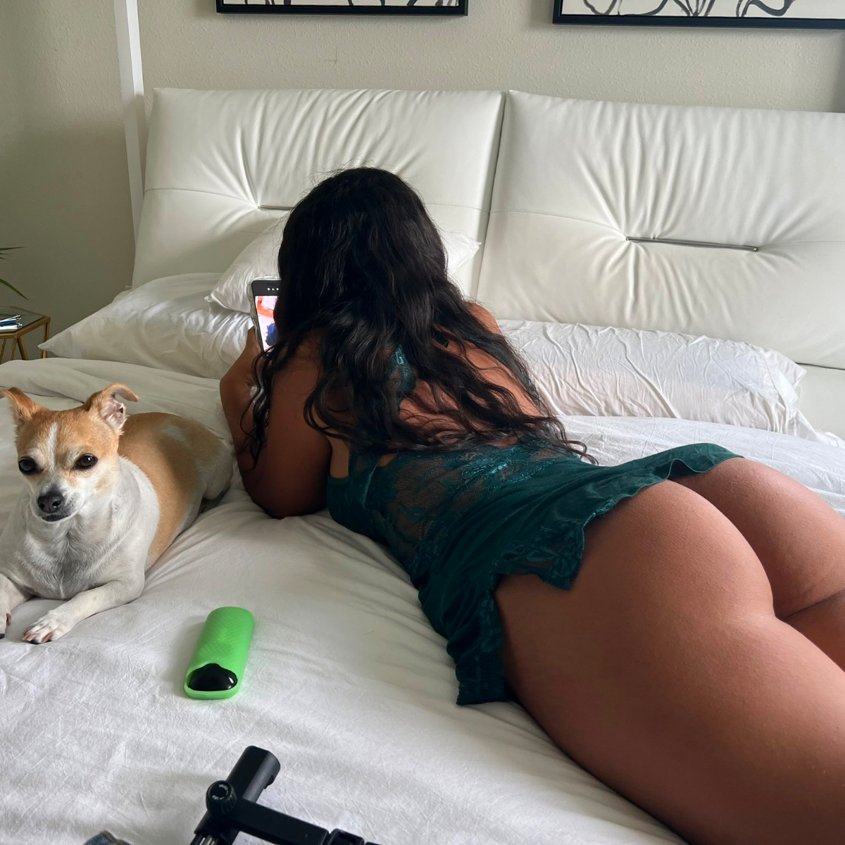 ALINA BELLE is Female Escorts. | Palm Springs | California | United States | escortsaffair.com 