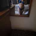 
                        sexiijane
                     is Female Escorts. | Oakville | Ontario | Canada | escortsaffair.com 