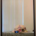 
                        Layla snow
                     is Female Escorts. | Kitchener | Ontario | Canada | escortsaffair.com 