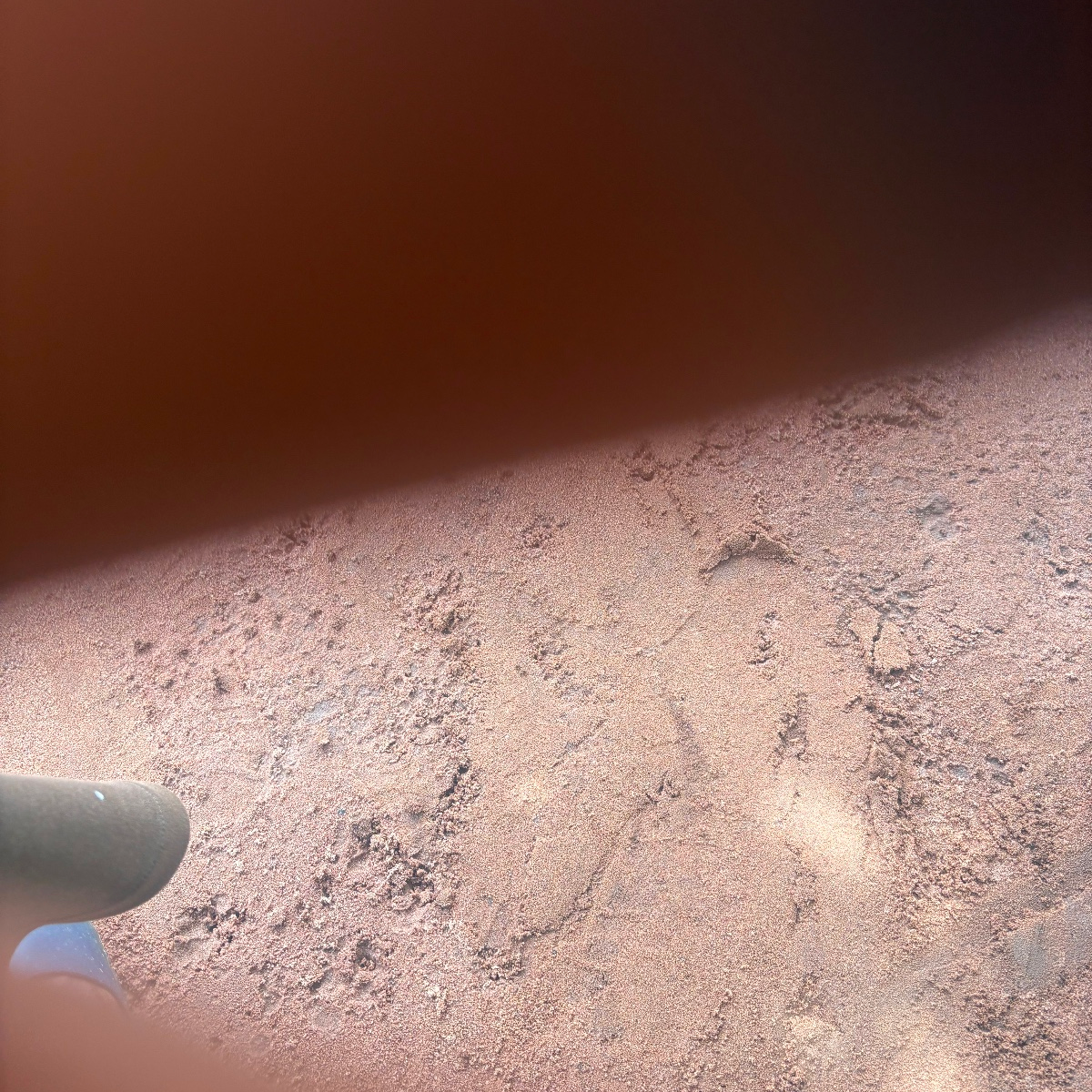 Ashley Kimberly is Female Escorts. | New Hampshire | New Hampshire | United States | escortsaffair.com 