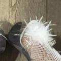 
                        Stacey Doll
                     is Female Escorts. | Hamilton | Ontario | Canada | escortsaffair.com 