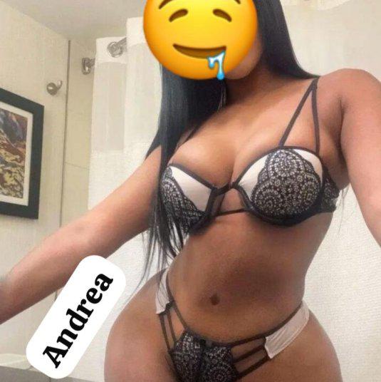  is Female Escorts. | Sarasota / Bradenton | Florida | United States | escortsaffair.com 