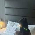 
                        Talia
                     is Female Escorts. | Ottawa | Ontario | Canada | escortsaffair.com 