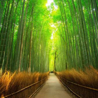  is Female Escorts. | Auburn | Alabama | United States | escortsaffair.com 