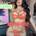 Lara is Female Escorts. | Honolulu | Hawaii | United States | escortsaffair.com 