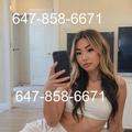 
                        Bobo
                     is Female Escorts. | Markham | Ontario | Canada | escortsaffair.com 
