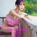 
                        3373 Kingsway Young girls
                     is Female Escorts. | Vancouver | British Columbia | Canada | escortsaffair.com 