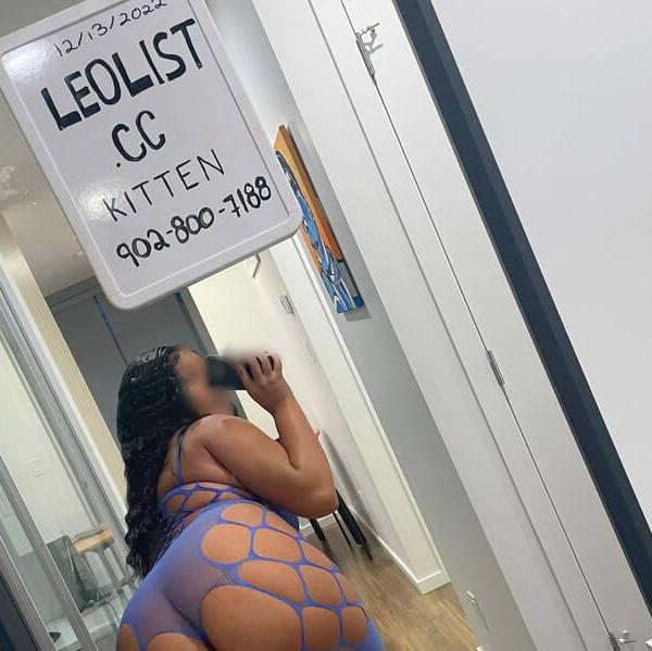 
                        Kitten
                     is Female Escorts. | Calgary | Alberta | Canada | escortsaffair.com 