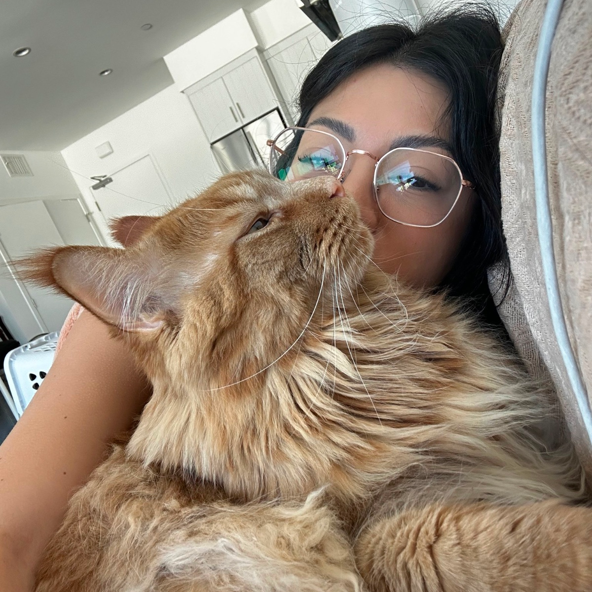 Jessy Adrian is Female Escorts. | Red Deer | Alberta | Canada | escortsaffair.com 