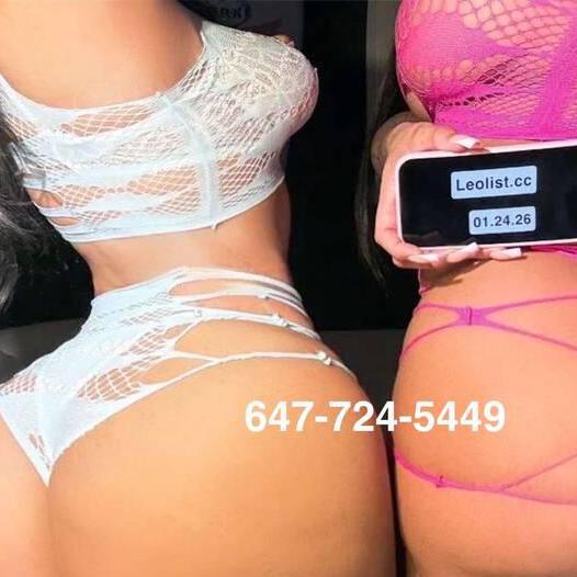 
                        Stella Babe
                     is Female Escorts. | Toronto | Ontario | Canada | escortsaffair.com 