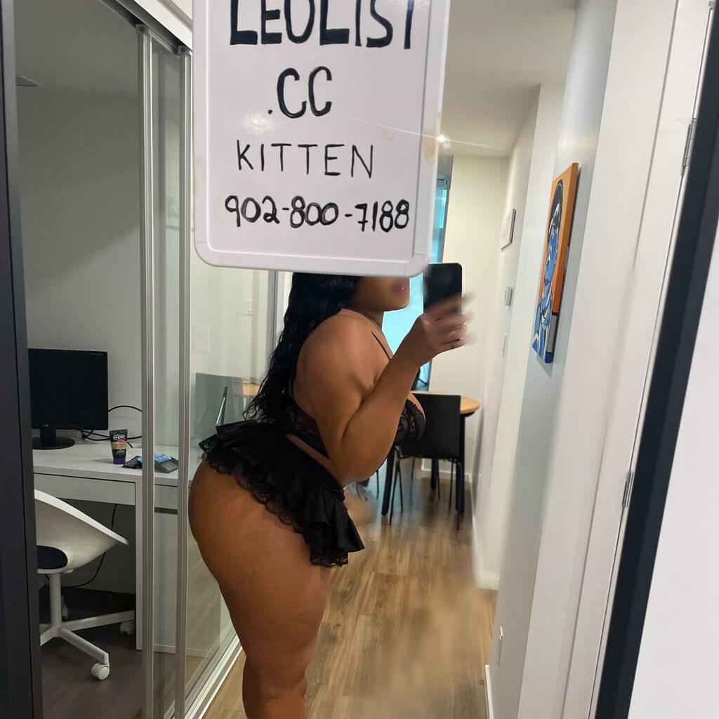 
                        Kitten
                     is Female Escorts. | Red Deer | Alberta | Canada | escortsaffair.com 