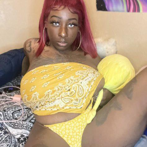  is Female Escorts. | Greenville | South Carolina | United States | escortsaffair.com 