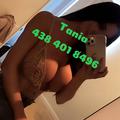 
                        Tania 438.401.8496
                     is Female Escorts. | Niagara | Ontario | Canada | escortsaffair.com 