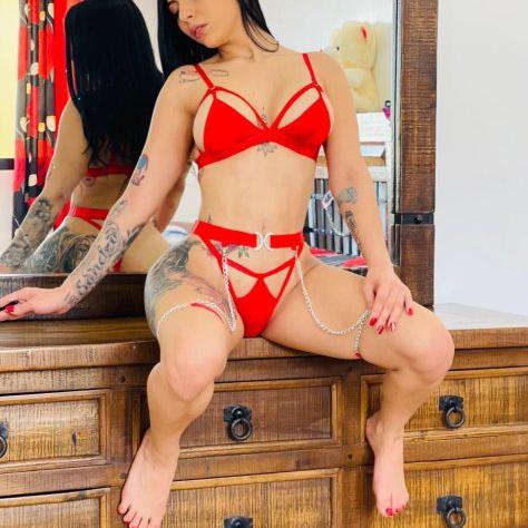  is Female Escorts. | Sarasota / Bradenton | Florida | United States | escortsaffair.com 