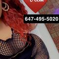 
                        Morning specials $$$$$$$$
                     is Female Escorts. | Oakville | Ontario | Canada | escortsaffair.com 