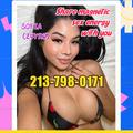  is Female Escorts. | Boston | Massachusetts | United States | escortsaffair.com 