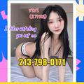 is Female Escorts. | Boston | Massachusetts | United States | escortsaffair.com 