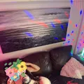 
                        Sofia Rose
                     is Female Escorts. | Grande Prairie | Alberta | Canada | escortsaffair.com 