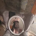 
                        Sasha
                     is Female Escorts. | Peace River Country | British Columbia | Canada | escortsaffair.com 