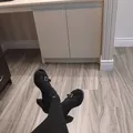 
                        (no deposits)
                     is Female Escorts. | belleville | Ontario | Canada | escortsaffair.com 