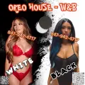 White & Black is Female Escorts. | Chicago | Illinois | United States | escortsaffair.com 