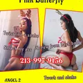  is Female Escorts. | Minneapolis / St. Paul | Minnesota | United States | escortsaffair.com 