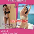  is Female Escorts. | Minneapolis / St. Paul | Minnesota | United States | escortsaffair.com 