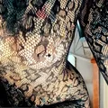 
                        Olivia Shine
                     is Female Escorts. | Barrie | Ontario | Canada | escortsaffair.com 