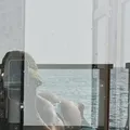 
                        Charlotte
                     is Female Escorts. | Toronto | Ontario | Canada | escortsaffair.com 