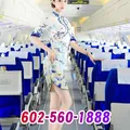  is Female Escorts. | Tucson | Arizona | United States | escortsaffair.com 