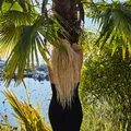 
                        Charlotte
                     is Female Escorts. | Skeena | British Columbia | Canada | escortsaffair.com 