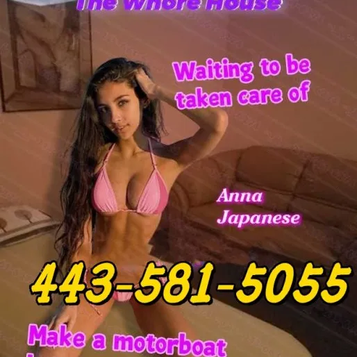  is Female Escorts. | Dallas | Texas | United States | escortsaffair.com 