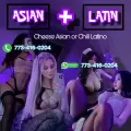 Asia Latin Ally is Female Escorts. | Chicago | Illinois | United States | escortsaffair.com 