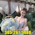  is Female Escorts. | Miami | Florida | United States | escortsaffair.com 