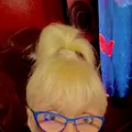 
                        Michelle
                     is Female Escorts. | windsor | Ontario | Canada | escortsaffair.com 