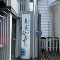 Rita is Female Escorts. | Brisbane | Australia | Australia | escortsaffair.com 