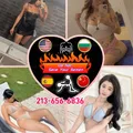  is Female Escorts. | sanjose | California | United States | escortsaffair.com 