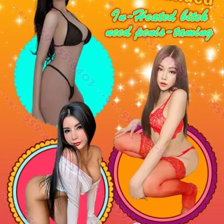  is Female Escorts. | Minneapolis / St. Paul | Minnesota | United States | escortsaffair.com 