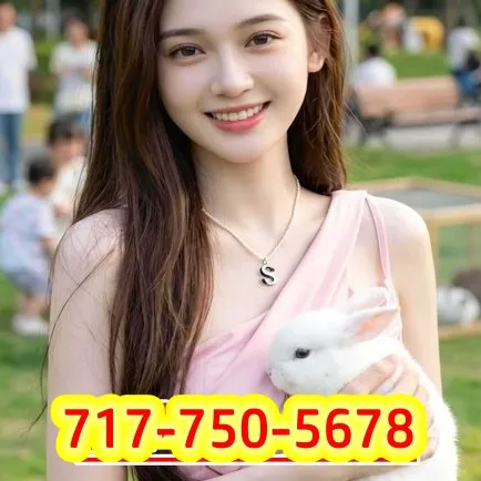  is Female Escorts. | Harrisburg | Pennsylvania | United States | escortsaffair.com 